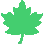 shape